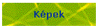 Kpek