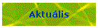 Aktuális