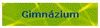 Gimnzium