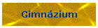 Gimnázium