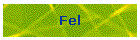 Fel